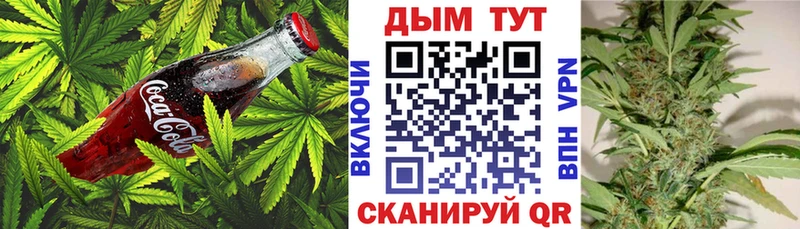 Cannafood конопля  закладка  ОМГ ОМГ как зайти  Емва 