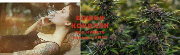 кокс Вяземский