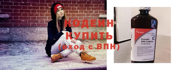 дурь Гусиноозёрск