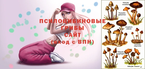 прущие крисы Вязьма